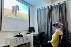 Virtuální realita v Klementince